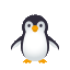 :penguin: